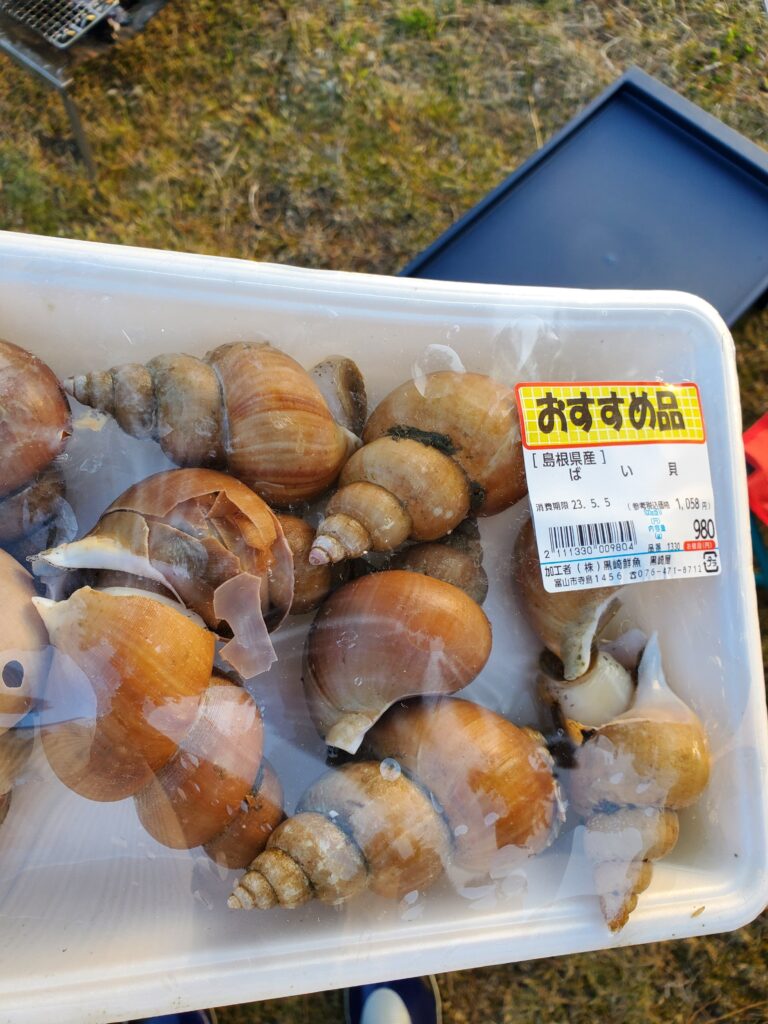 バイ貝を買ってみた